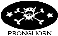 Pronghorn... Cowpunk-Band